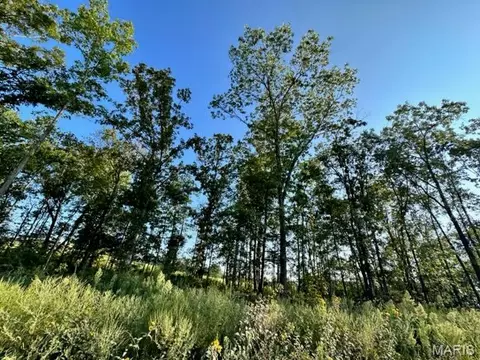 Other - 0 County Road 3440, Mountain View, MO 65548 photo 18 of 22