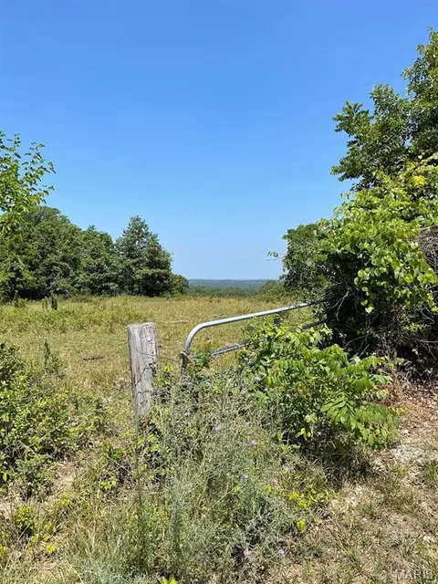 Other - 0 County Road 3440, Mountain View, MO 65548 photo 21 of 22
