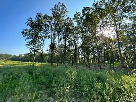 Other - 0 County Road 3440, Mountain View, MO 65548 photo 15 of 22