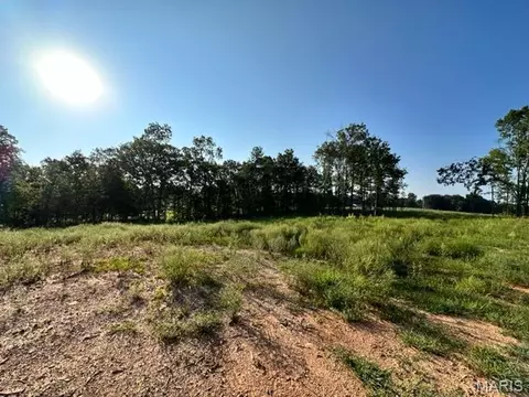 Exterior - 0 County Road 3440, Mountain View, MO 65548 photo 2 of 3
