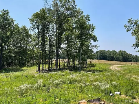 Exterior - 0 County Road 3440, Mountain View, MO 65548 photo 3 of 3