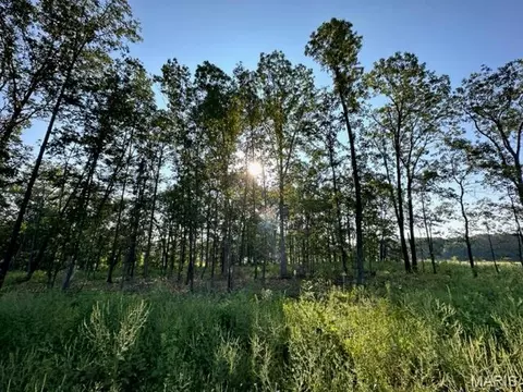 Other - 0 County Road 3440, Mountain View, MO 65548 photo 14 of 22