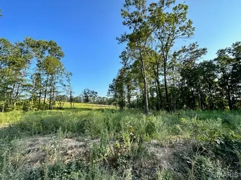 Other - 0 County Road 3440, Mountain View, MO 65548 photo 20 of 22
