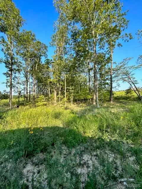 Other - 0 County Road 3440, Mountain View, MO 65548 photo 12 of 22