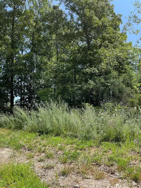 Other - 0 County Road 3440, Mountain View, MO 65548 photo 4 of 22
