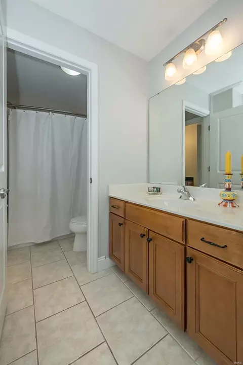 Bath - 164 Point Lansing Cir, Ballwin, MO 63021 photo 6 of 6