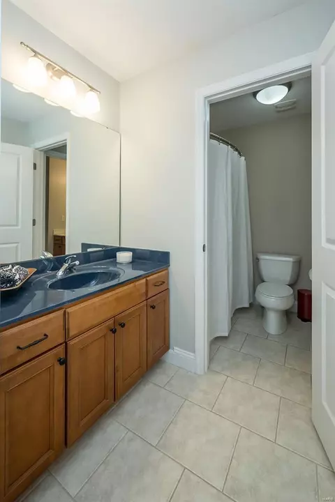 Bath - 164 Point Lansing Cir, Ballwin, MO 63021 photo 5 of 6