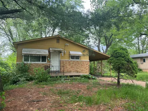 10317 Baron Dr, Saint Louis, MO 63136