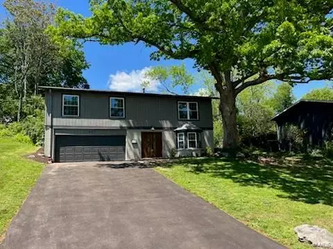 617 Lorraine Davis Ln, Saint Louis, MO 63119