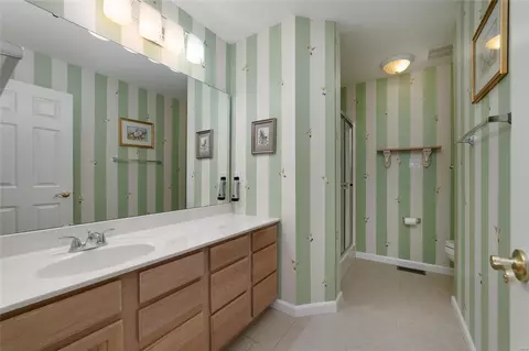 Bath - 755 River Glen Dr, O'fallon, MO 63368 photo 1 of 5