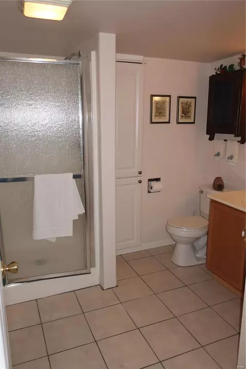 Bath - 442 Summit Tree Ct, Fenton, MO 63026 photo 3 of 3