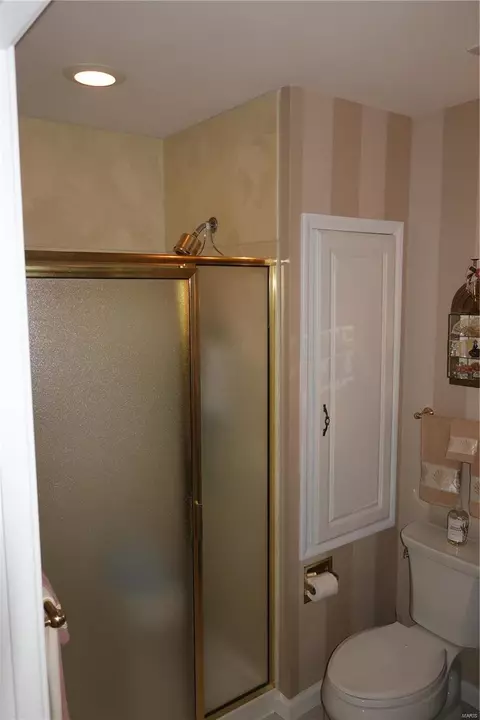 Bath - 442 Summit Tree Ct, Fenton, MO 63026 photo 2 of 3