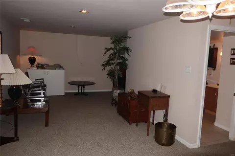 Other - 442 Summit Tree Ct, Fenton, MO 63026 photo 9 of 9