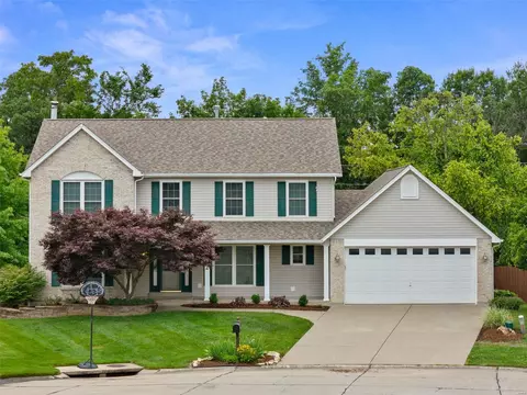 1462 Sunview Dr, O'fallon, MO 63366 photo 41