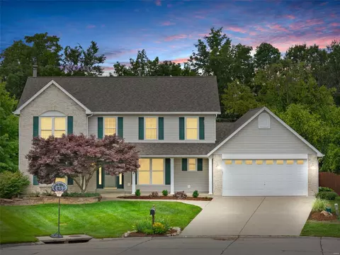 1462 Sunview Dr, O'fallon, MO 63366 photo 40