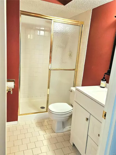 875 Delmonico Dr, Manchester, MO 63021 photo 13