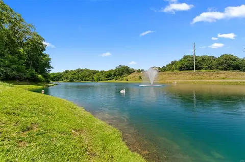 View/Area - 1226 Spring Lilly Dr, High Ridge, MO 63049 photo 1 of 1