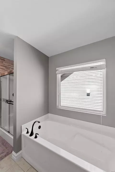 Bath - 1226 Spring Lilly Dr, High Ridge, MO 63049 photo 2 of 5