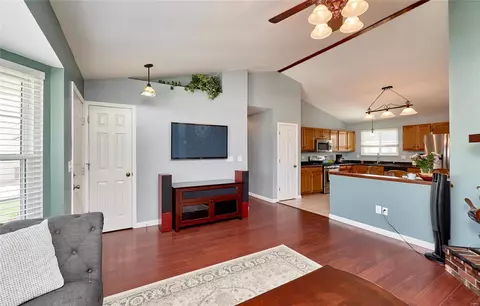 Other - 29 Mary Beth Ct, O'fallon, MO 63368 photo 5 of 23