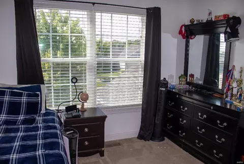 Other - 307 Wild River Ct, O'fallon, MO 63366 photo 7 of 13