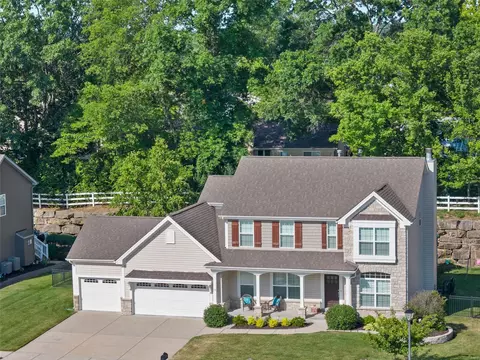 View/Area - 46 Coalter Ridge Ct, O'fallon, MO 63368 photo 4 of 4