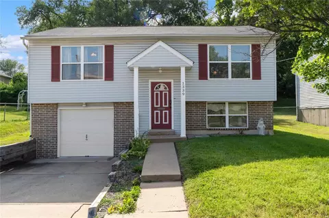 1339 Ripple St, Saint Louis, MO 63139