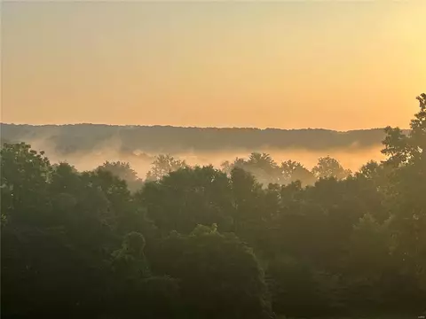 View/Area - 432 Deep Forest Ln, Augusta, MO 63332 photo 1 of 3