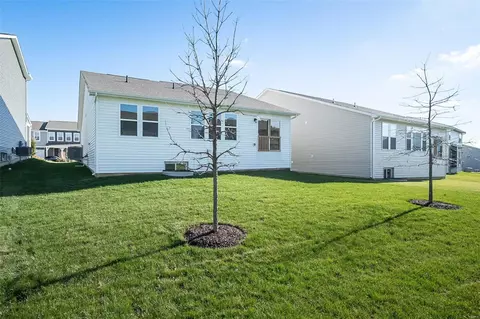 309 Dalriada Blvd, O'fallon, MO 63368 photo 30