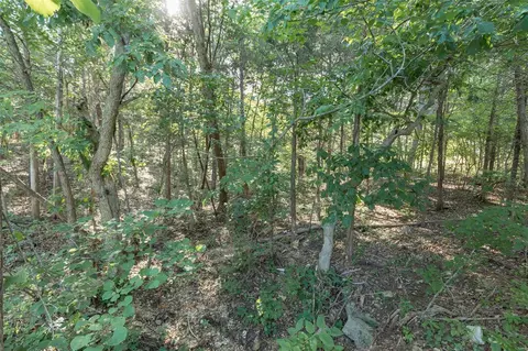 10449 Lake Crest Dr, Hillsboro, MO 63050
