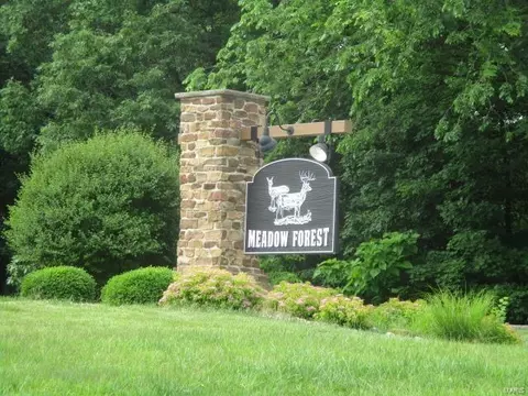 131 Mystic Valley Dr, Wildwood, MO 63069