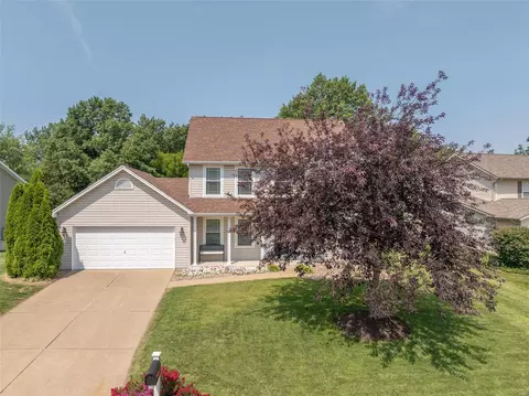 Other - 36 Dunmore Cir, O'fallon, MO 63368 photo 7 of 7