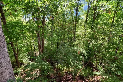 Other - 34 Morning Hill Dr, Ballwin, MO 63021 photo 1 of 10