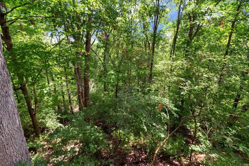 Other - 34 Morning Hill Dr, Ballwin, MO 63021 photo 1 of 10