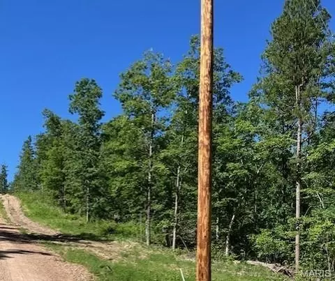 38 Madison Cr 410, Fredericktown, MO 63645