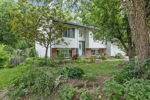 811 Pepper Ln, O'fallon, MO 63366 photo 4