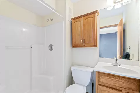 Bath - 21 Jacqueline Cir, O'fallon, MO 63368 photo 2 of 2