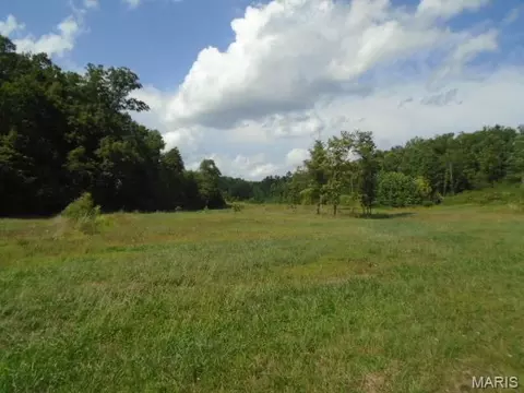 Other - 0 County Road 135, Annapolis, MO 63620 photo 9 of 12