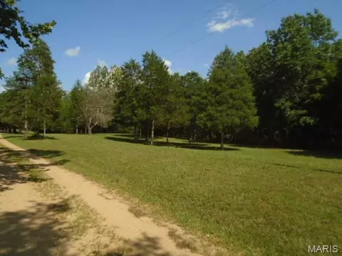 Exterior - 0 County Road 135, Annapolis, MO 63620 photo 6 of 9