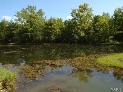 View/Area - 0 County Road 135, Annapolis, MO 63620 photo 3 of 3