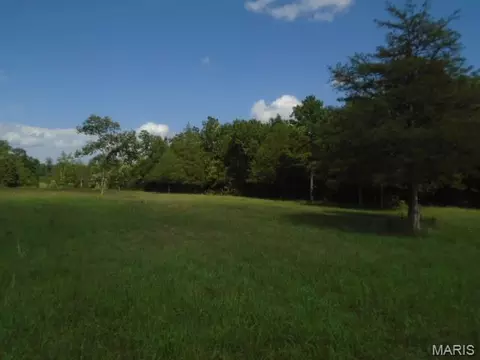 Other - 0 County Road 135, Annapolis, MO 63620 photo 6 of 12