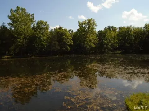 View/Area - 0 County Road 135, Annapolis, MO 63620 photo 2 of 3