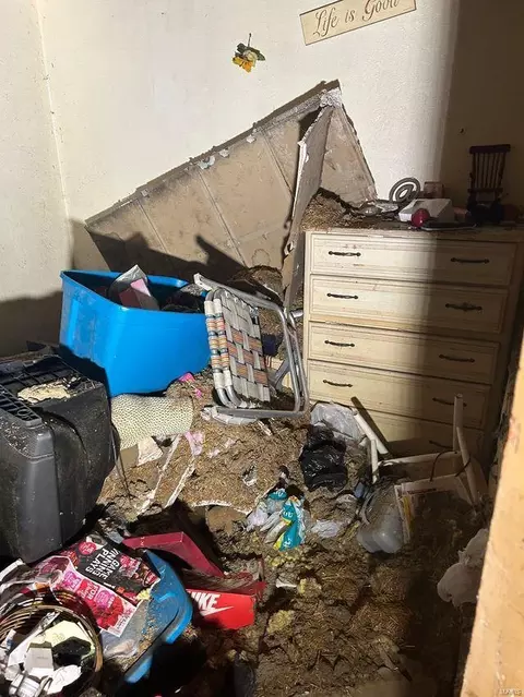 Entry Way - 357 Plaza Ave, Ferguson, MO 63135 photo 7 of 7
