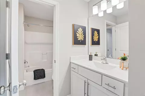 Bath - 127 Magdalen Ln, O'fallon, MO 63366 photo 7 of 7