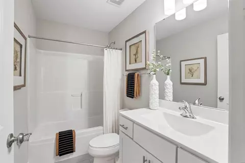 Bath - 127 Magdalen Ln, O'fallon, MO 63366 photo 5 of 7