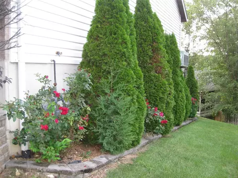 Exterior - 257 Valleybrook Ct, O'fallon, MO 63368 photo 5 of 8