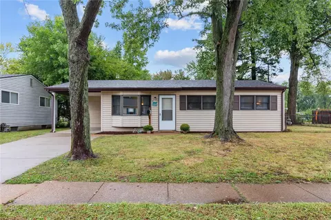 1125 Mullanphy Rd, Florissant, MO 63031