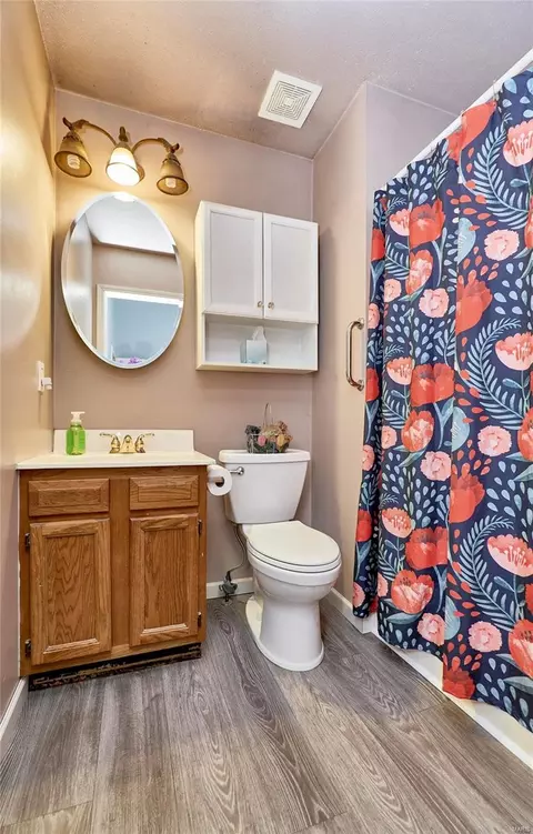 Bath - 248 Rose Wind Dr, O'fallon, MO 63366 photo 2 of 3