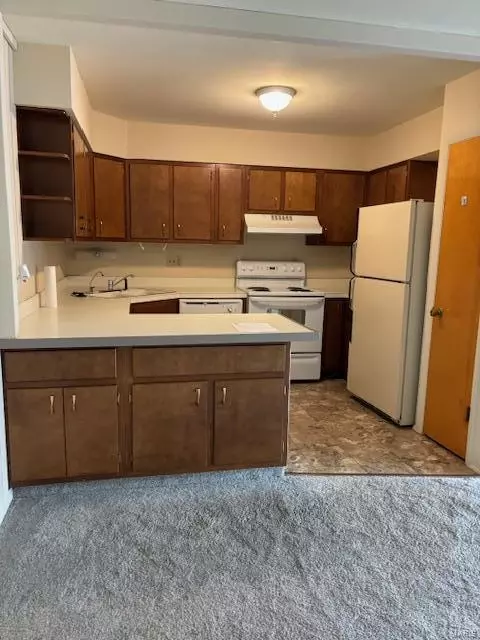 8772 Sieloff Dr #F, Hazelwood, MO 63042