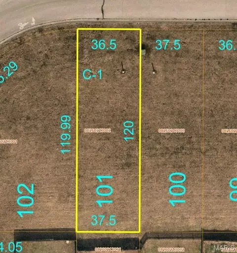 2004 Camrose Green St, Belleville, IL 62220
