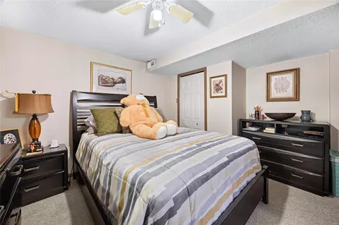 58 Georgetown Cir, O'fallon, MO 63368 photo 19